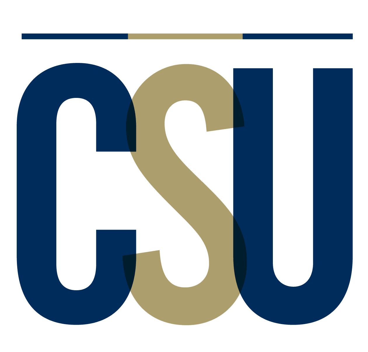Charleston Southern University logo