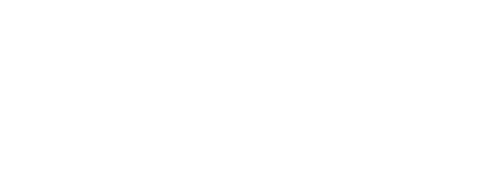Michael Angelo Sports LLC, dba N Zone Sports All American logo