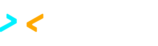 Disabled Sports Eastern Sierra logo