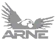 ARNE Aviation, LLC logo