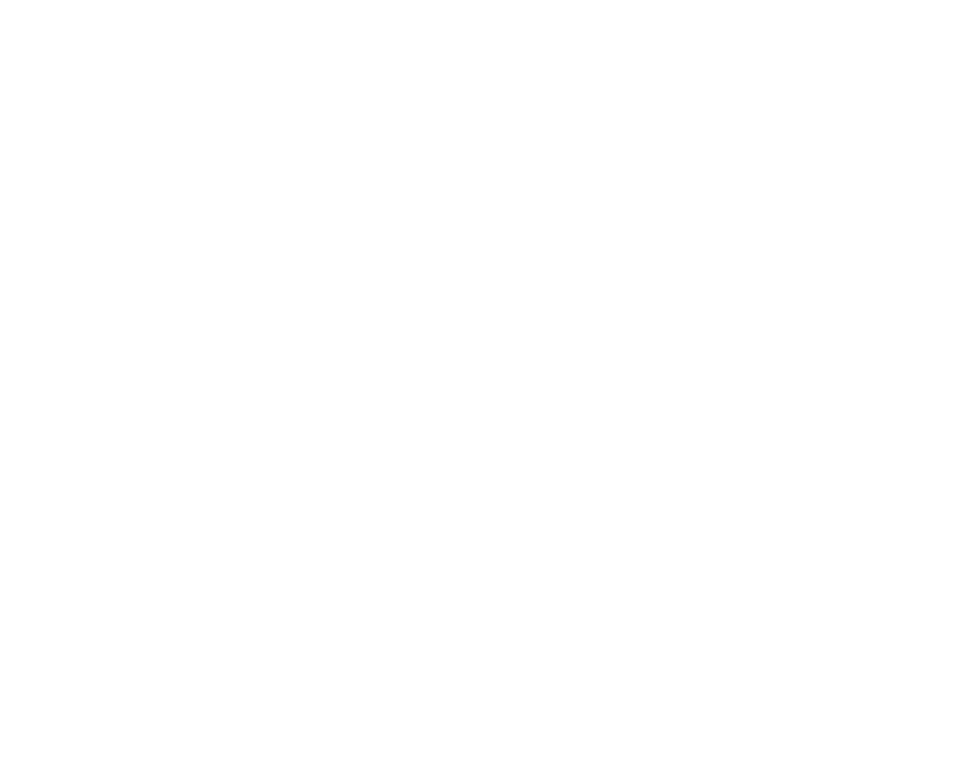 Dynamic Aviation logo